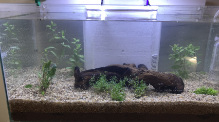 aquarium Nano