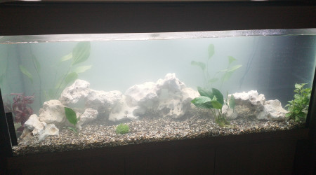 aquarium Cath712