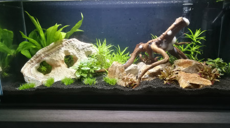 aquarium Reprise - 74 L