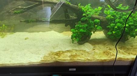 Nettoyage du sol à l'Eden 501