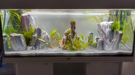 aquarium Rio 240