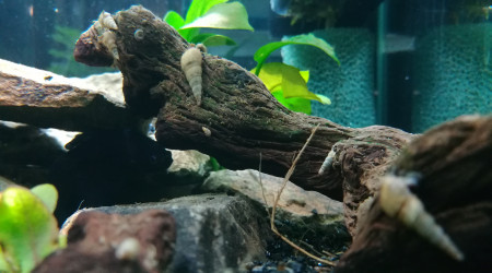 Ménage, ménage... Plus loin que la nuit et le jour