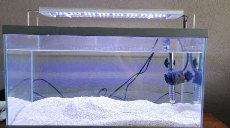 aquarium Nano recifal
