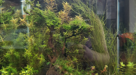 8 mois et demi (face)