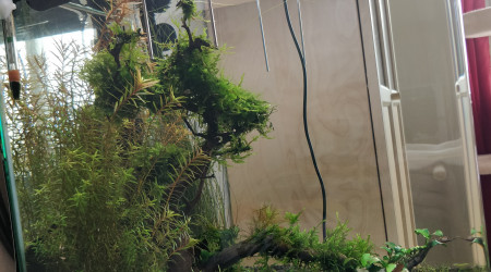 8 mois et demi (profil)