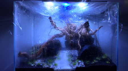 Ce nom est déjà utilisé veuillez en choisir un autre?