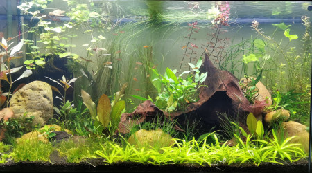 aquarium 180L