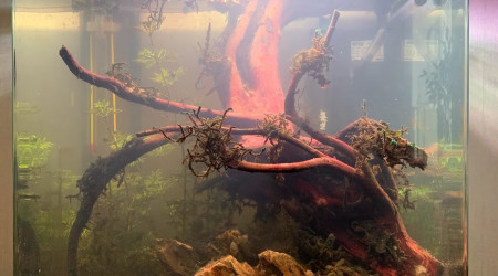 Les nitrates en veux-tu ? En voilà !