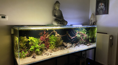 aquarium 600l