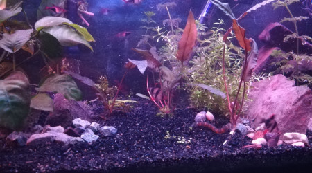 Impression soleil couchant