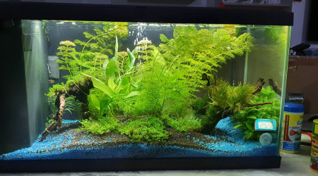 aquarium Salon 48L