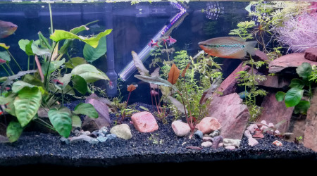 Après changement du fond