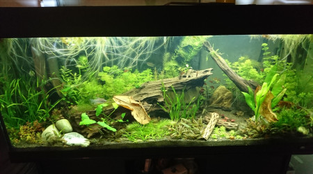 aquarium RIO 240