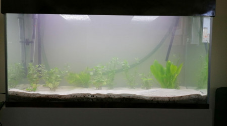 aquarium Premier 240L