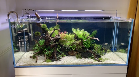 aquarium 300 L