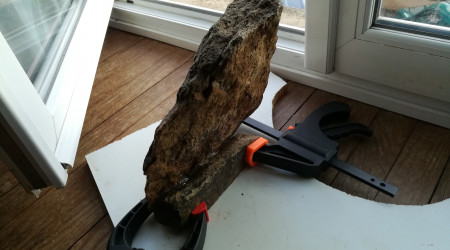 It is a hard scape night