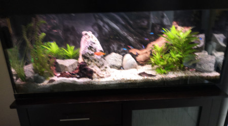 classique avant transformation