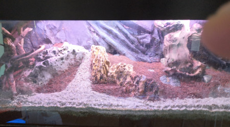 1er essai de hard-scaping