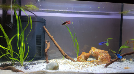 60 litres (leddy 60)