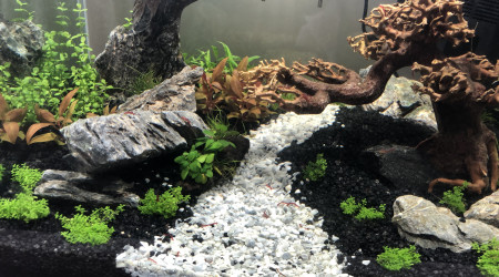 aquarium Nano