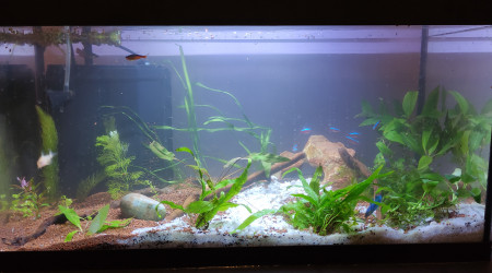 60 litres (leddy 60)