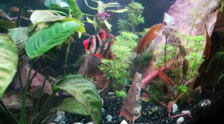 De la caillasse en plus