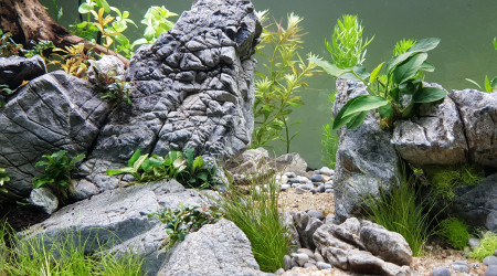 aquarium AQUASCAPING