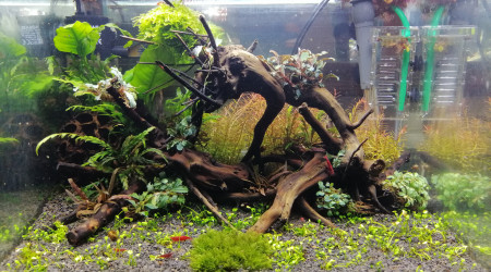 aquarium Nano 35L