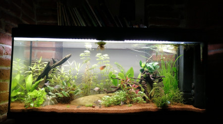 aquarium 120 L