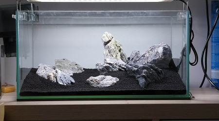 Hardscape