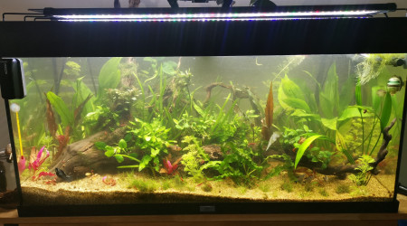 suppression des rochers