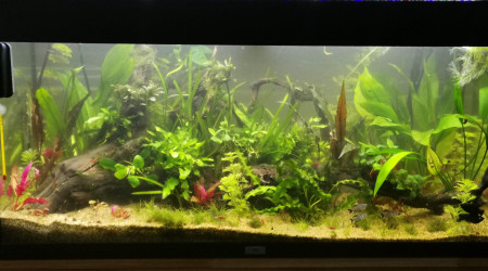 suppression des rochers