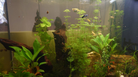 Equilibre retrouvé :)