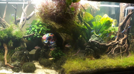 Et hop  une cachette en plus