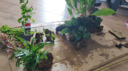 Nettoyage de printemps et Réorganisation