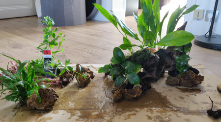 Nettoyage de printemps et Réorganisation