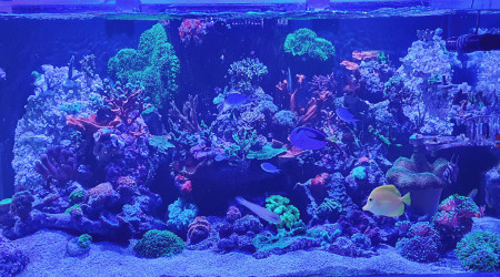 Photo zénith et avant extinction éclairage