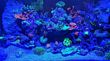 Photo zénith et avant extinction éclairage