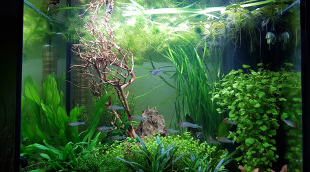 aquarium 120 L lido