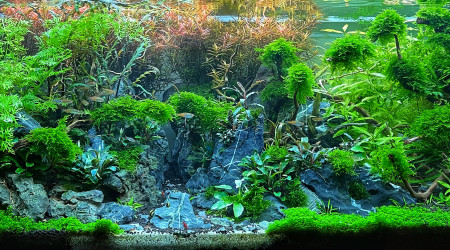 aquarium JUWEL RIO 180