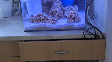 Mise en place osmolateur Tunze avec Cuve sous Aquarium