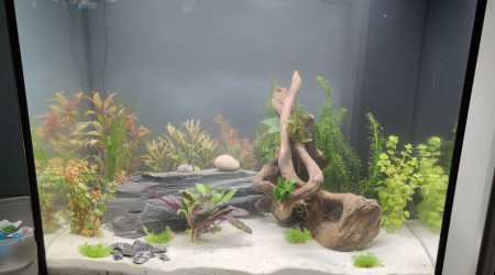 aquarium Lido 120