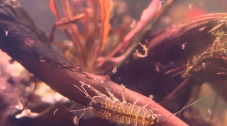 Enfin un équilbre !