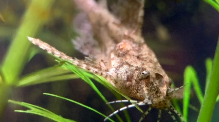 Enfin un équilbre !