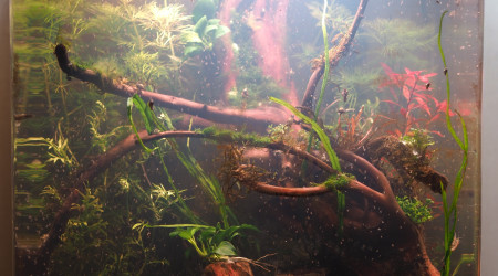 Enfin un équilbre !