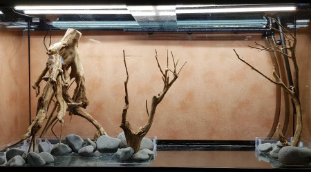 Réflexion sur le hardscape en cours