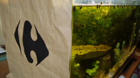 Ma protection anti-soleil Carrefour