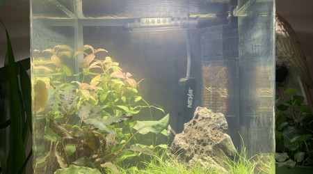 aquarium Cube 20l