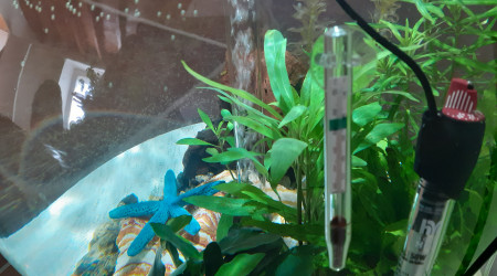 Ajout kit chauffage biorb