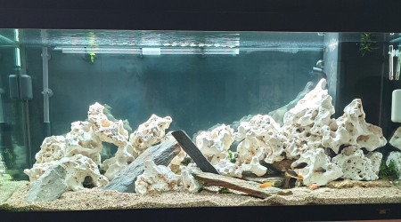 aquarium 300L juwel